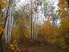 DSCN0242.JPG