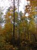 DSCN0243.JPG
