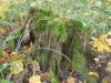DSCN0245.JPG