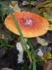 DSCN0246.JPG