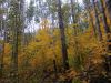 DSCN0253.JPG