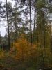 DSCN0254.JPG