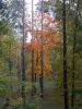DSCN0270.JPG