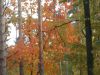 DSCN0271.JPG