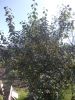 DSCN0294.JPG