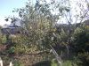 DSCN0295.JPG