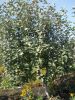 DSCN0296.JPG