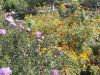 DSCN0297.JPG