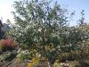 DSCN0299.JPG