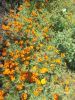 DSCN0301.JPG
