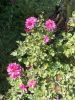 DSCN0302.JPG