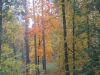 DSCN0315.JPG