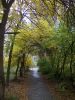 DSCN0318.JPG
