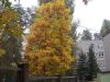 DSCN0319.JPG