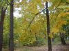 DSCN0320.JPG