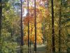 DSCN0322.JPG