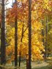 DSCN0323.JPG