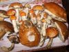 DSCN0328.JPG
