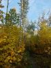 DSCN0335.JPG