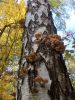 DSCN0338.JPG