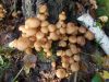 DSCN0341.JPG