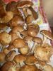 DSCN0372.JPG