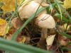 DSCN0386.JPG