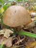 DSCN0387.JPG