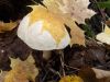 DSCN0389.JPG