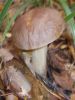 DSCN0391.JPG