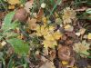 DSCN0392.JPG