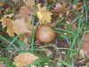 DSCN0396.JPG
