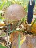 DSCN0399.JPG