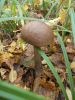 DSCN0400.JPG