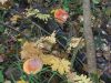DSCN0404.JPG