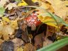 DSCN0409.JPG