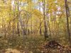 DSCN0412.JPG