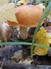 DSCN0414.JPG