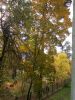 DSCN0416.JPG