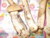 DSCN0423.JPG