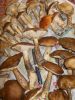 DSCN0425.JPG
