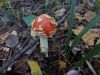 DSCN2847.jpg