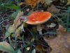 DSCN2849.jpg
