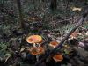 DSCN2852.jpg