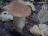 DSCN2853.jpg