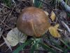 DSCN2871.jpg