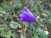 DSCN2872.jpg