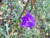 DSCN2873.jpg