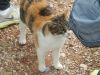 DSCN5638.JPG
