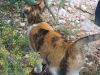DSCN5639.JPG